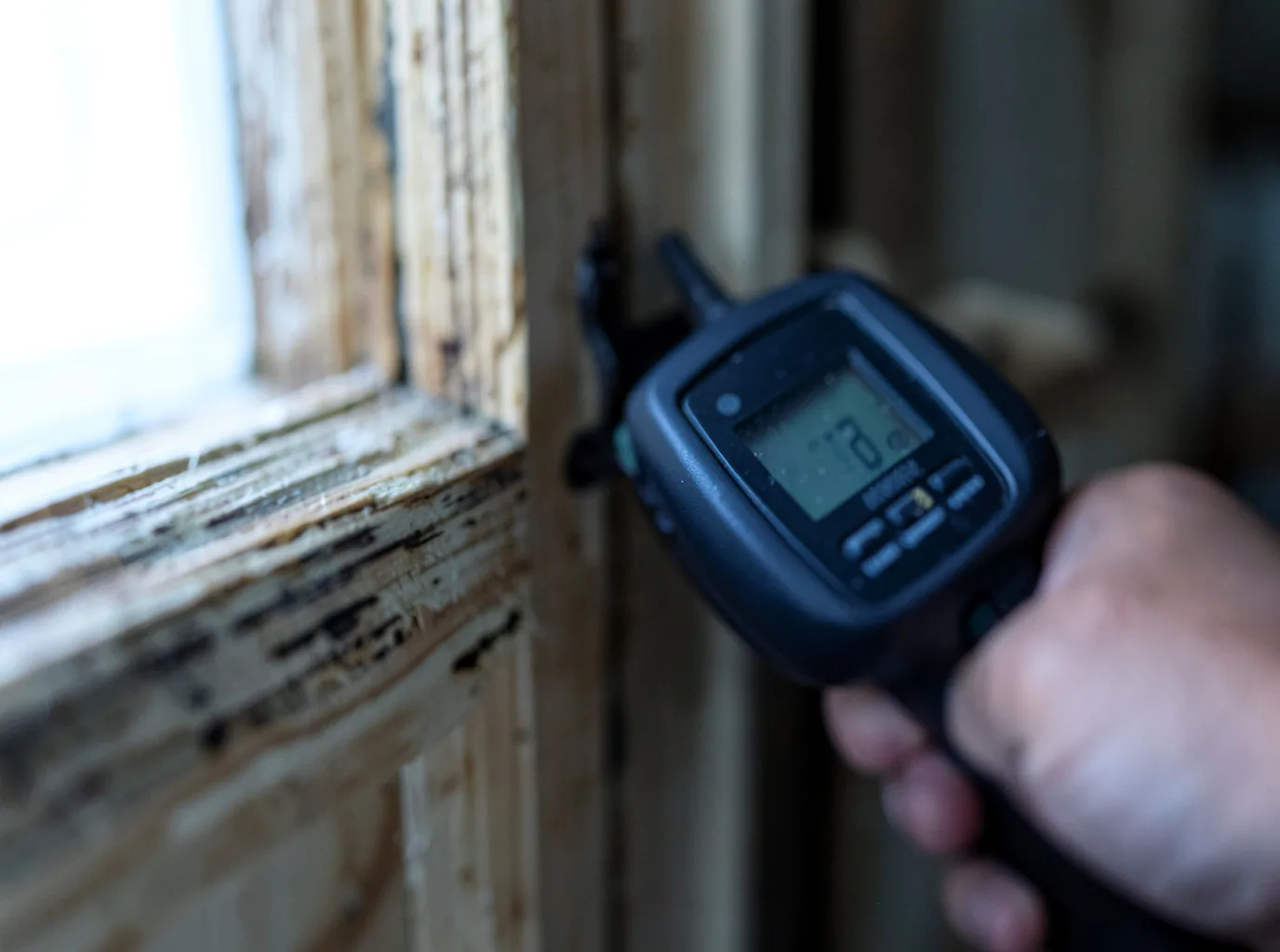 Moisture Inspection And Documentation in Crescent City, FL